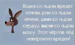 Снимок4.PNG