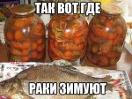 раки зимуют.jpg