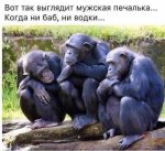 1467962703_anekdoty.jpg