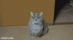 2f40000d497342f244a.gif