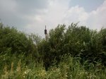 IMG_20160725_140417.jpg
