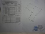 DSC02546.JPG