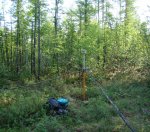 QIP Shot - Screen 585.jpg