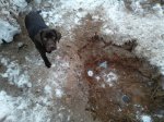 IMG_20170114_112711.jpg