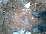 IMG_20170114_112604.jpg