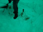 IMG_20170113_161819.jpg
