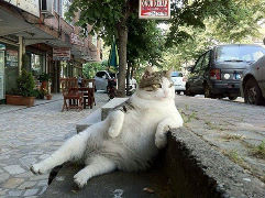 Алексей Анатольевич 81