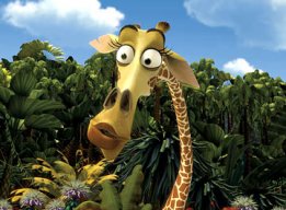 Melman