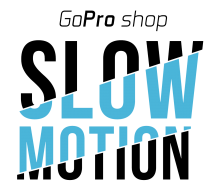 SlowmoVL