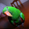 andrey0001