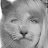 id64171097