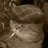 Fletcher Dima