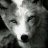 foxfer
