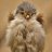 Fluffy