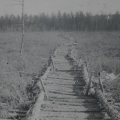 Альбом «Старая Школа (The Old School)» — фото 6